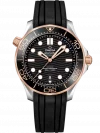 Omega Constellation 210.22.42.20.01.002