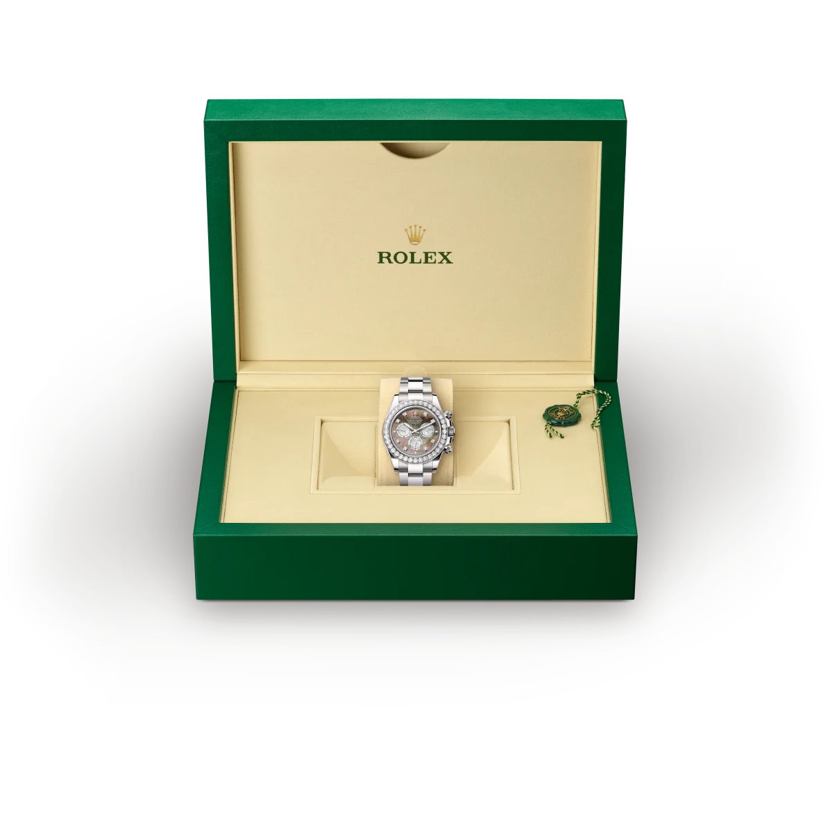 Rolex Cosmograph Daytona in 18 ct white gold, M126579RBR-0001 - Time Avenue