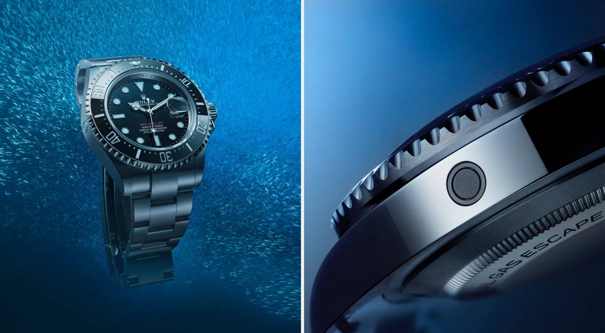 Rolex Sea Dweller Watches - Time Avenue