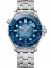 Omega Seamaster Diver 300m 210.30.42.20.03.003