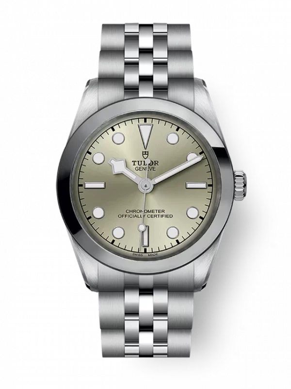 TUDOR Black Bay 31 M79600-0003