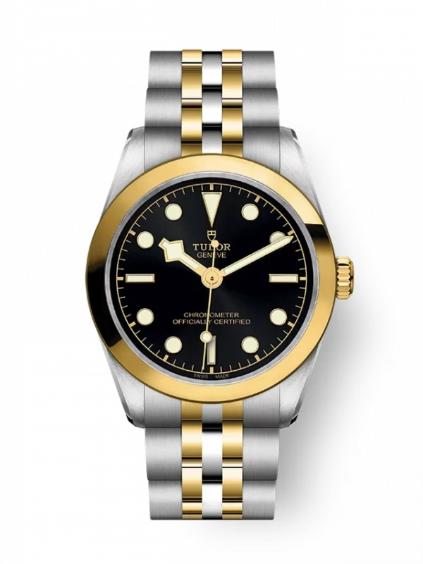 TUDOR Black Bay 31 S&G M79603-0001