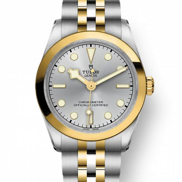 TUDOR Black Bay 31 S&G M79603-0002