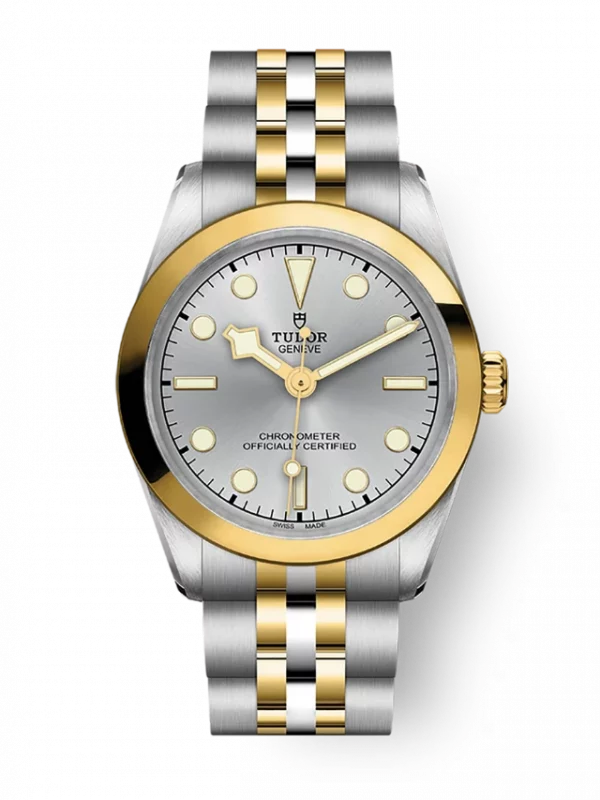 TUDOR Black Bay 31 S&G M79603-0002