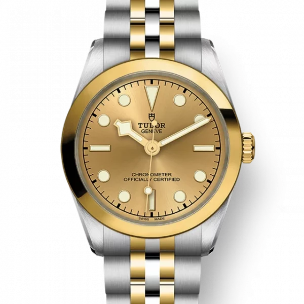 TUDOR Black Bay 31 S&G M79603-0005