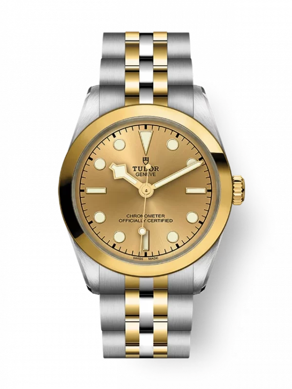 TUDOR Black Bay 31 S&G M79603-0005