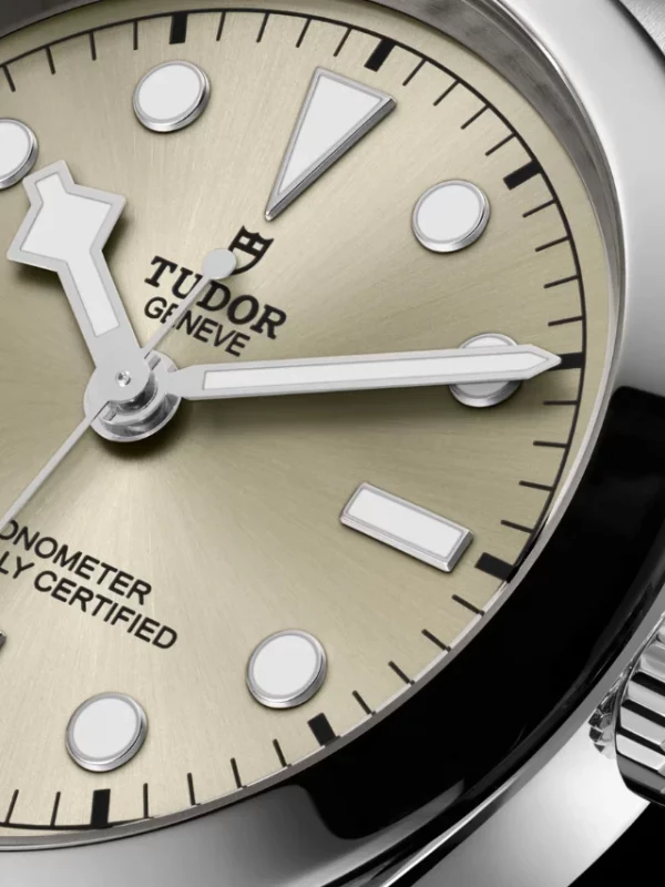 TUDOR Black Bay 36 M79640-0003