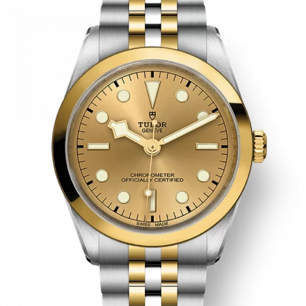 TUDOR Black Bay 36 S&G M79643-0005