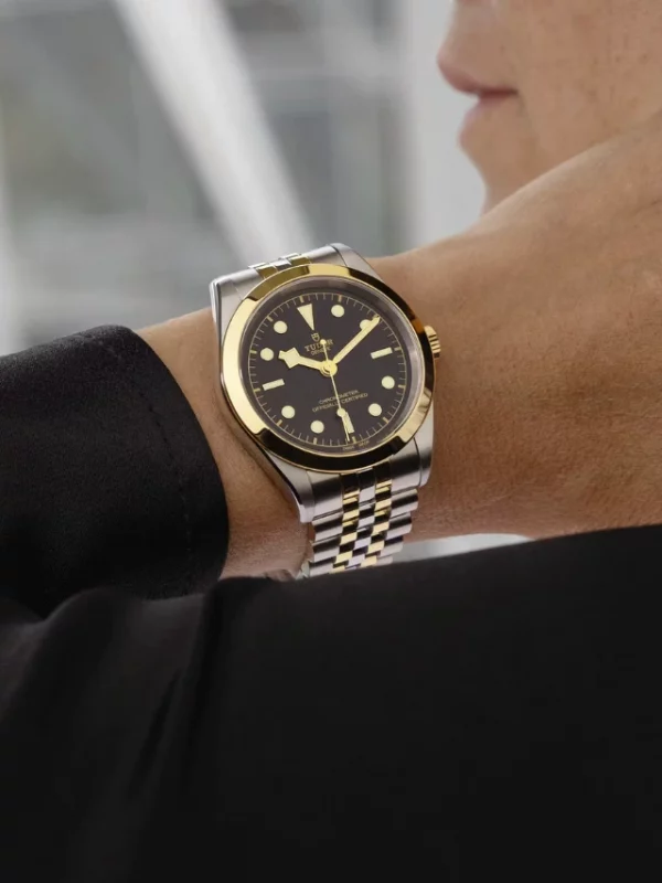 TUDOR Black Bay 39 S&G M79663-0001