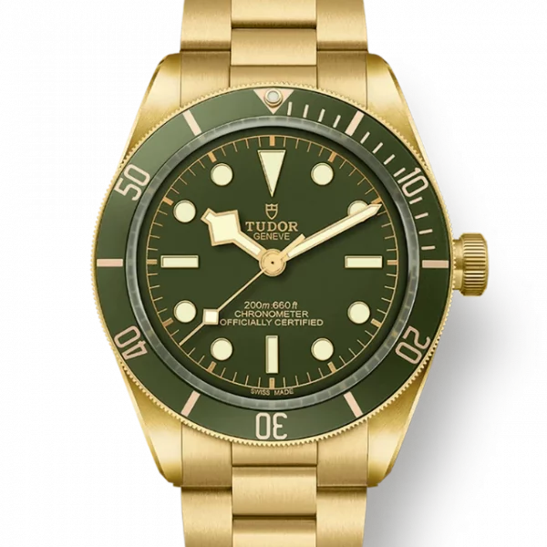 TUDOR Black Bay 58 18K M79018V-0006