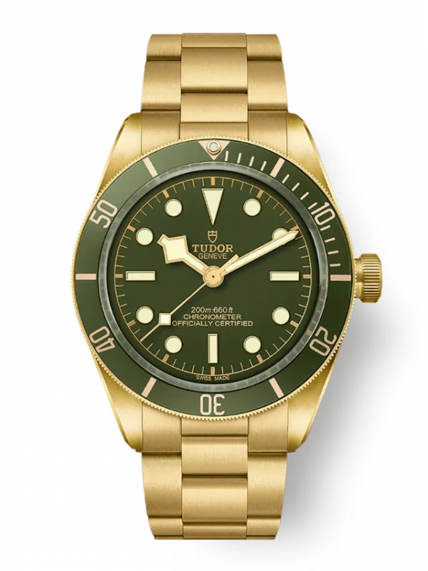 TUDOR Black Bay 58 18K M79018V-0006