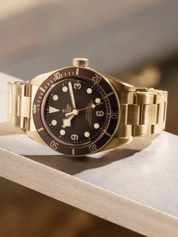 TUDOR Black Bay 58 Bronze M79012M-0001