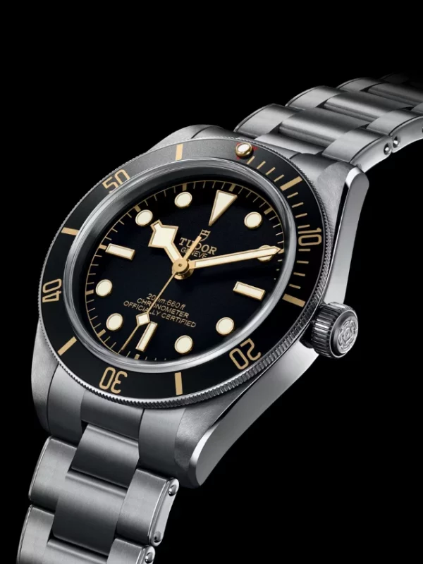 TUDOR Black Bay 58 M79030N-0001