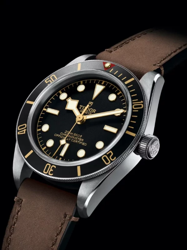 TUDOR Black Bay 58 M79030N-0002