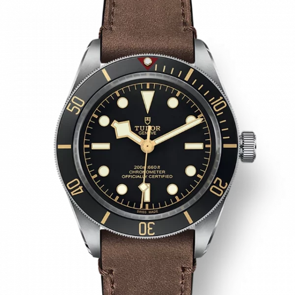 TUDOR Black Bay 58 M79030N-0002