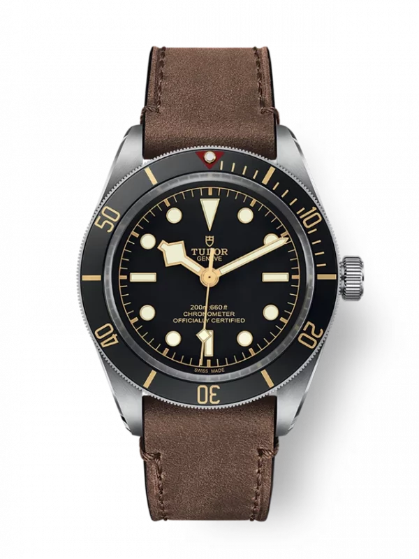 TUDOR Black Bay 58 M79030N-0002