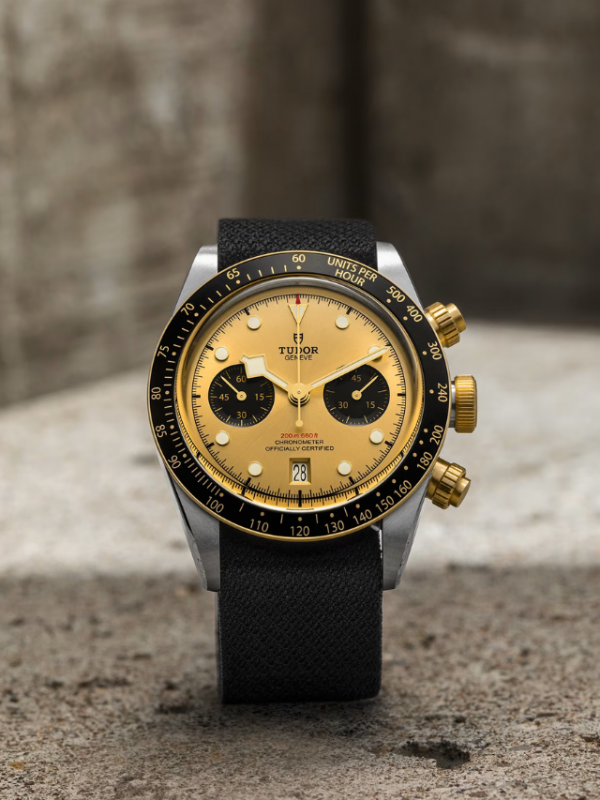 TUDOR Black Bay Chrono S&G M79363N-0006