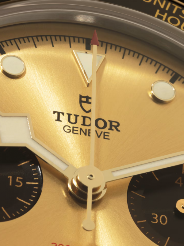 TUDOR Black Bay Chrono S&G M79363N-0006