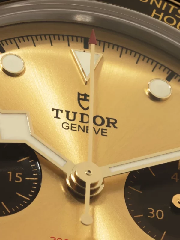 TUDOR Black Bay Chrono S&G M79363N-0008