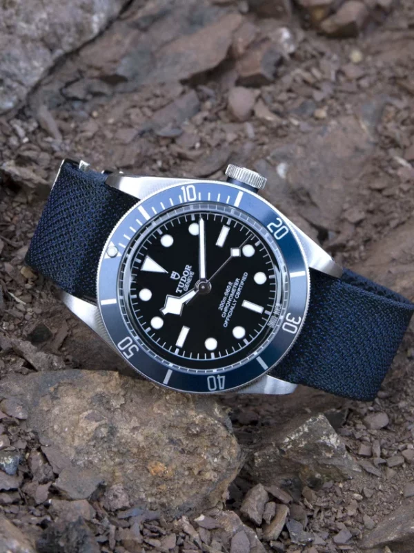 TUDOR Black Bay M79230B-0006