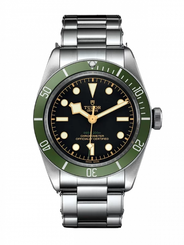 TUDOR Black Bay M79230G-0001