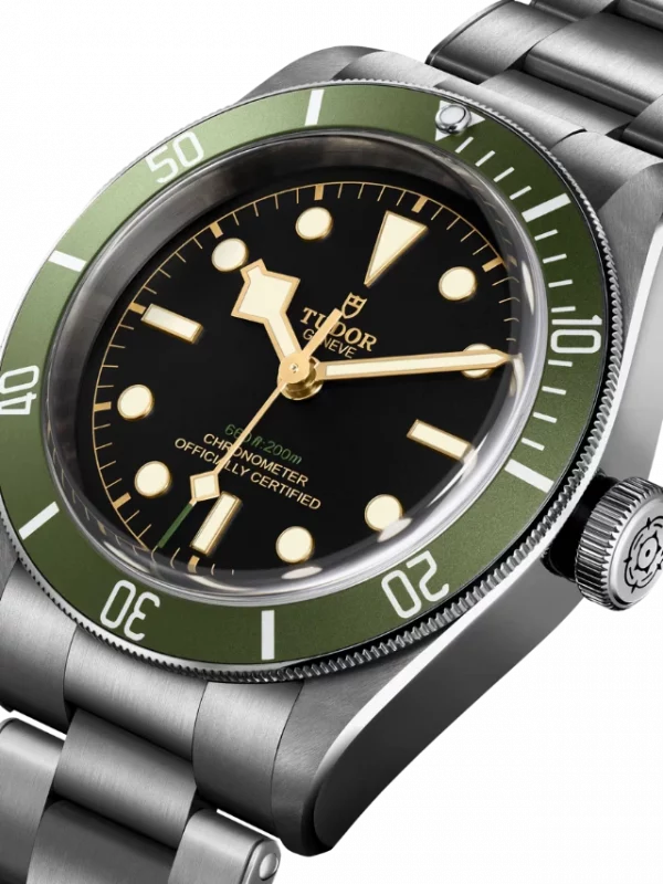 TUDOR Black Bay M79230G-0001