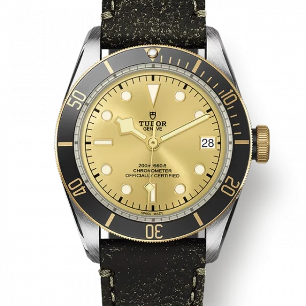 TUDOR Black Bay S&G M79733N-0003