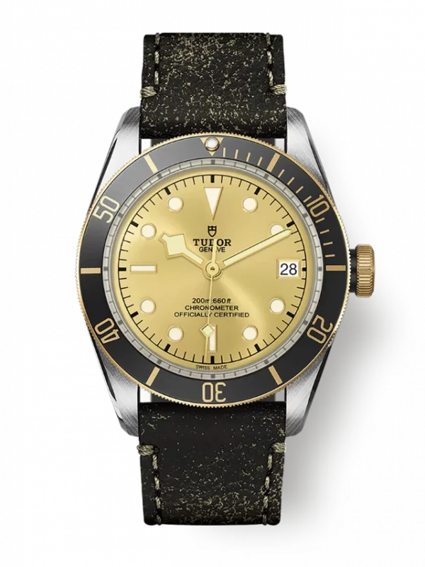 TUDOR Black Bay S&G M79733N-0003