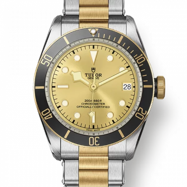 TUDOR Black Bay S&G M79733N-0004