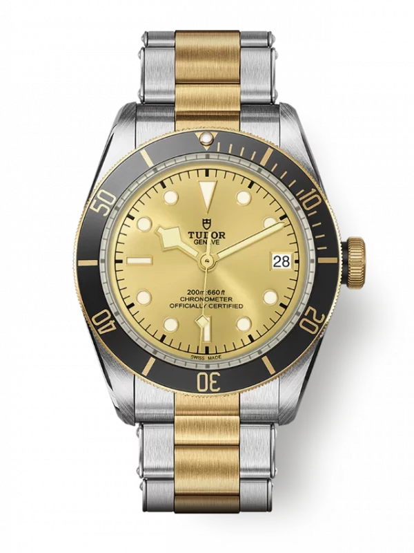 TUDOR Black Bay S&G M79733N-0004