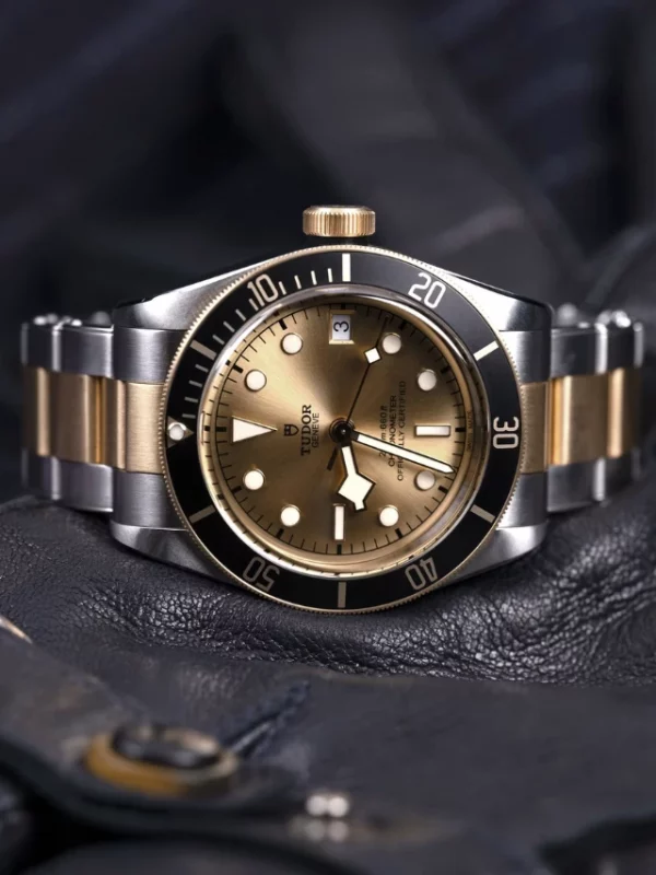 TUDOR Black Bay S&G M79733N-0004