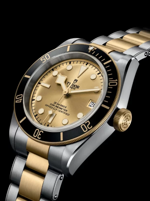 TUDOR Black Bay S&G M79733N-0004