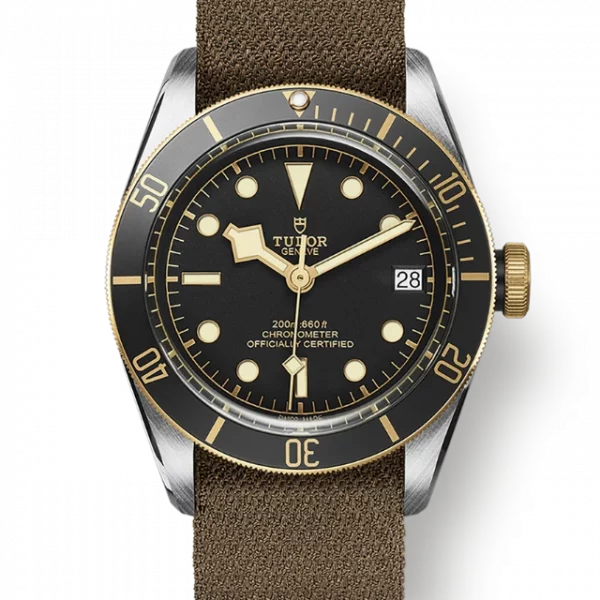 TUDOR Black Bay S&G M79733N-0005