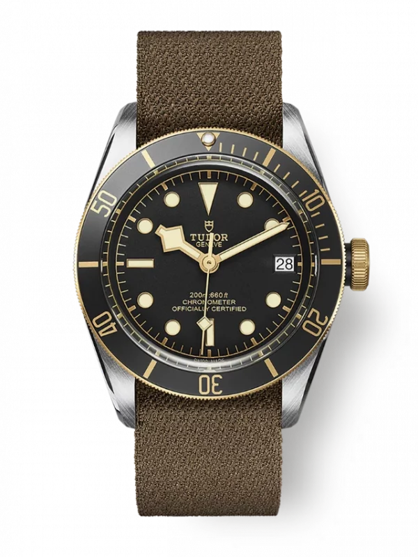 TUDOR Black Bay S&G M79733N-0005