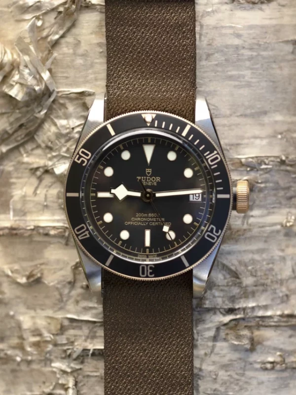 TUDOR Black Bay S&G M79733N-0005