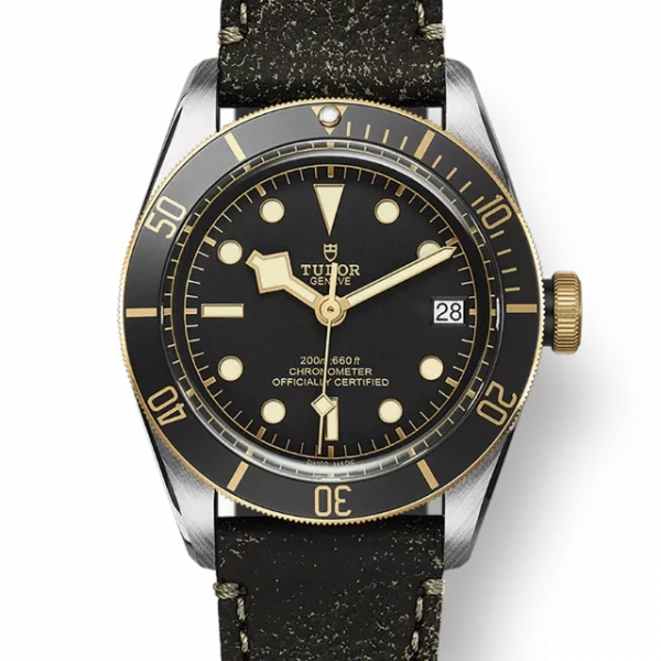 TUDOR Black Bay S&G M79733N-0007