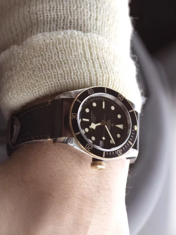 TUDOR Black Bay S&G M79733N-0007