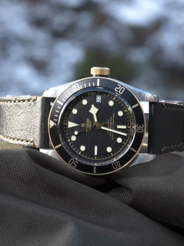 TUDOR Black Bay S&G M79733N-0007