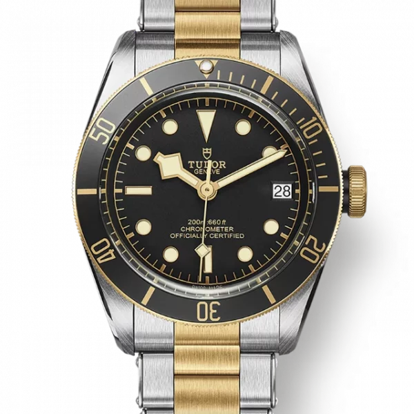 TUDOR Black Bay S&G M79733N-0008