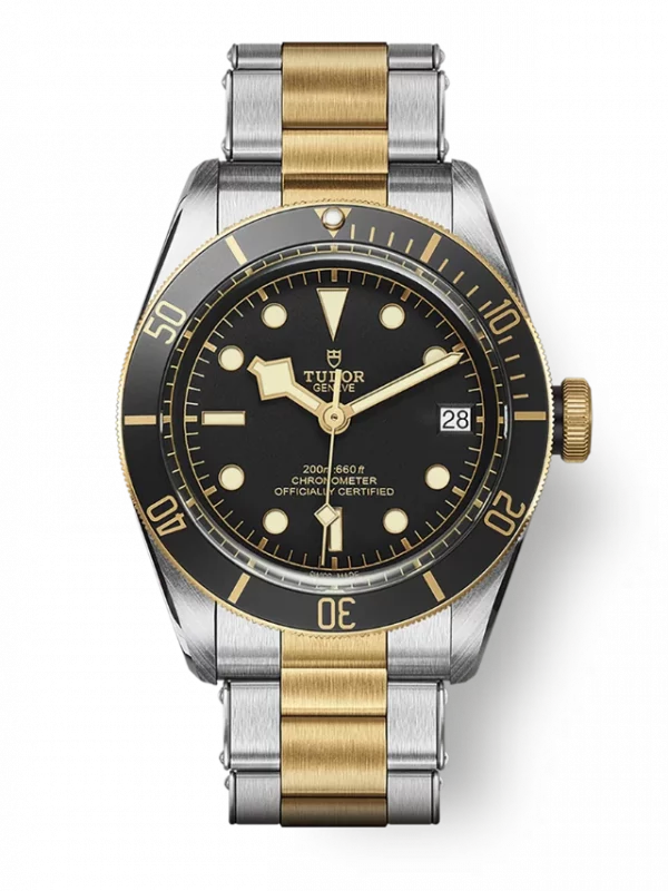 TUDOR Black Bay S&G M79733N-0008