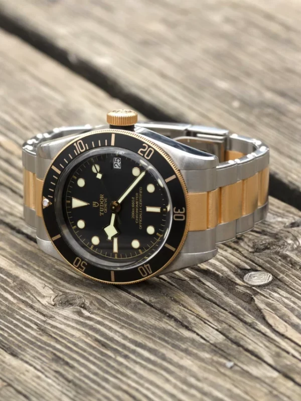 TUDOR Black Bay S&G M79733N-0008