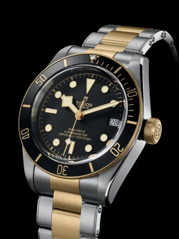 TUDOR Black Bay S&G M79733N-0008