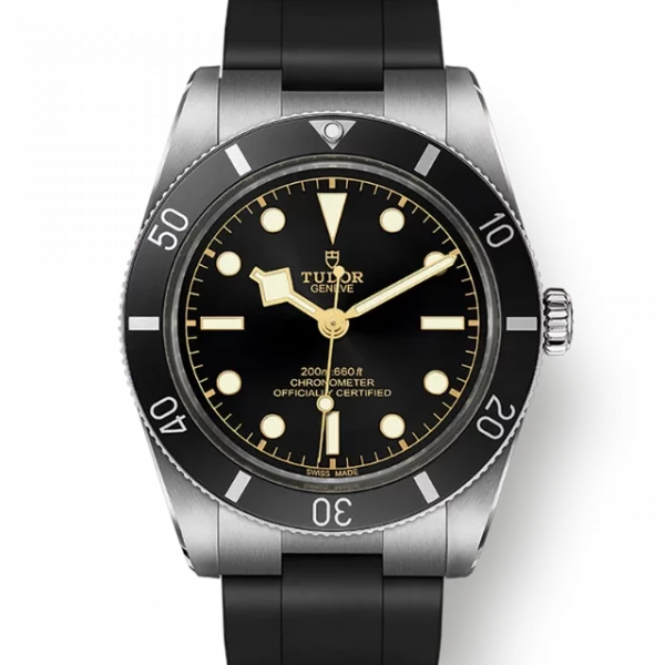 Tudor Black Bay 54 M79000N-0002