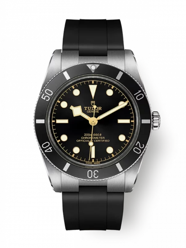 Tudor Black Bay 54 M79000N-0002