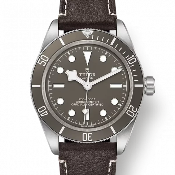 Tudor Black Bay 58 925 M79010SG-0001