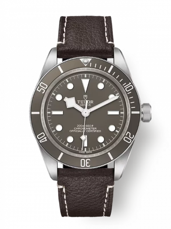 Tudor Black Bay 58 925 M79010SG-0001