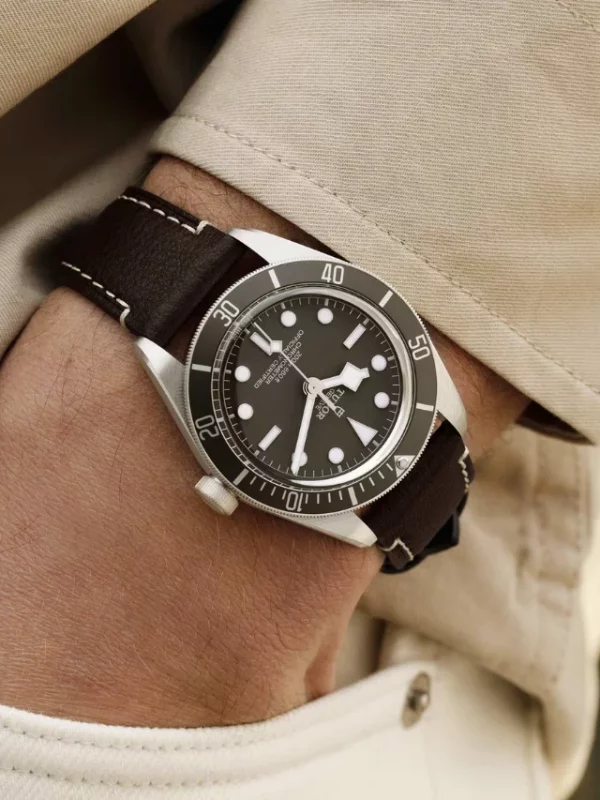 Tudor Black Bay 58 925 M79010SG-0001