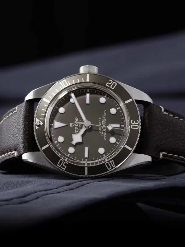 Tudor Black Bay 58 925 M79010SG-0001