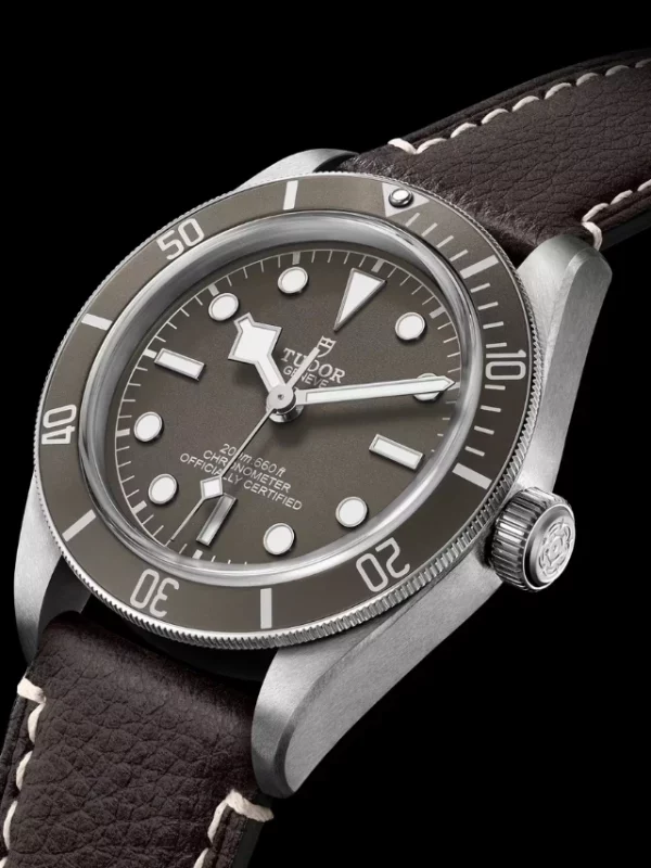 Tudor Black Bay 58 925 M79010SG-0001