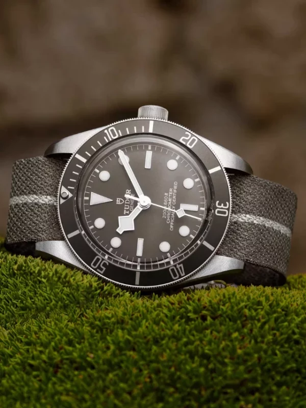 Tudor Black Bay 58 925 M79010SG-0002